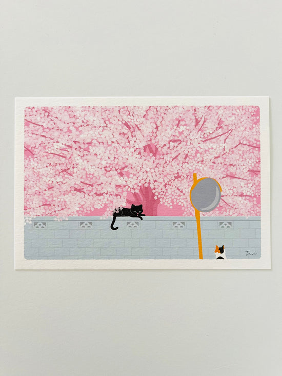 [Tabineko] Under the Sakura Tree (2011) postcard x Toshinori Mori