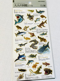 [Kamio] Shark Species sticker sheet