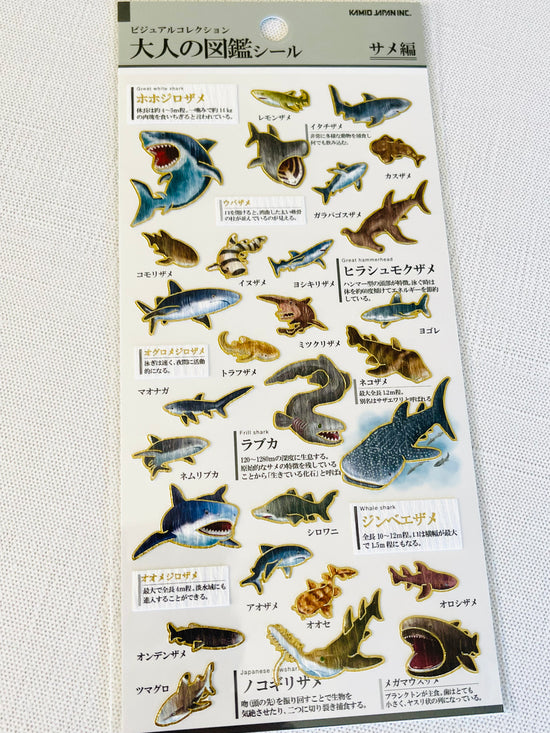 [Kamio] Shark Species sticker sheet