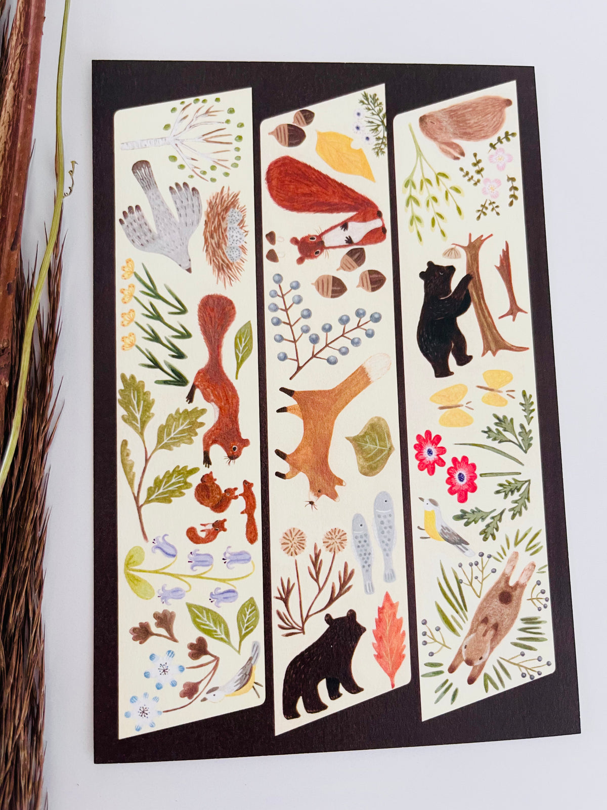 Animals in the Forest