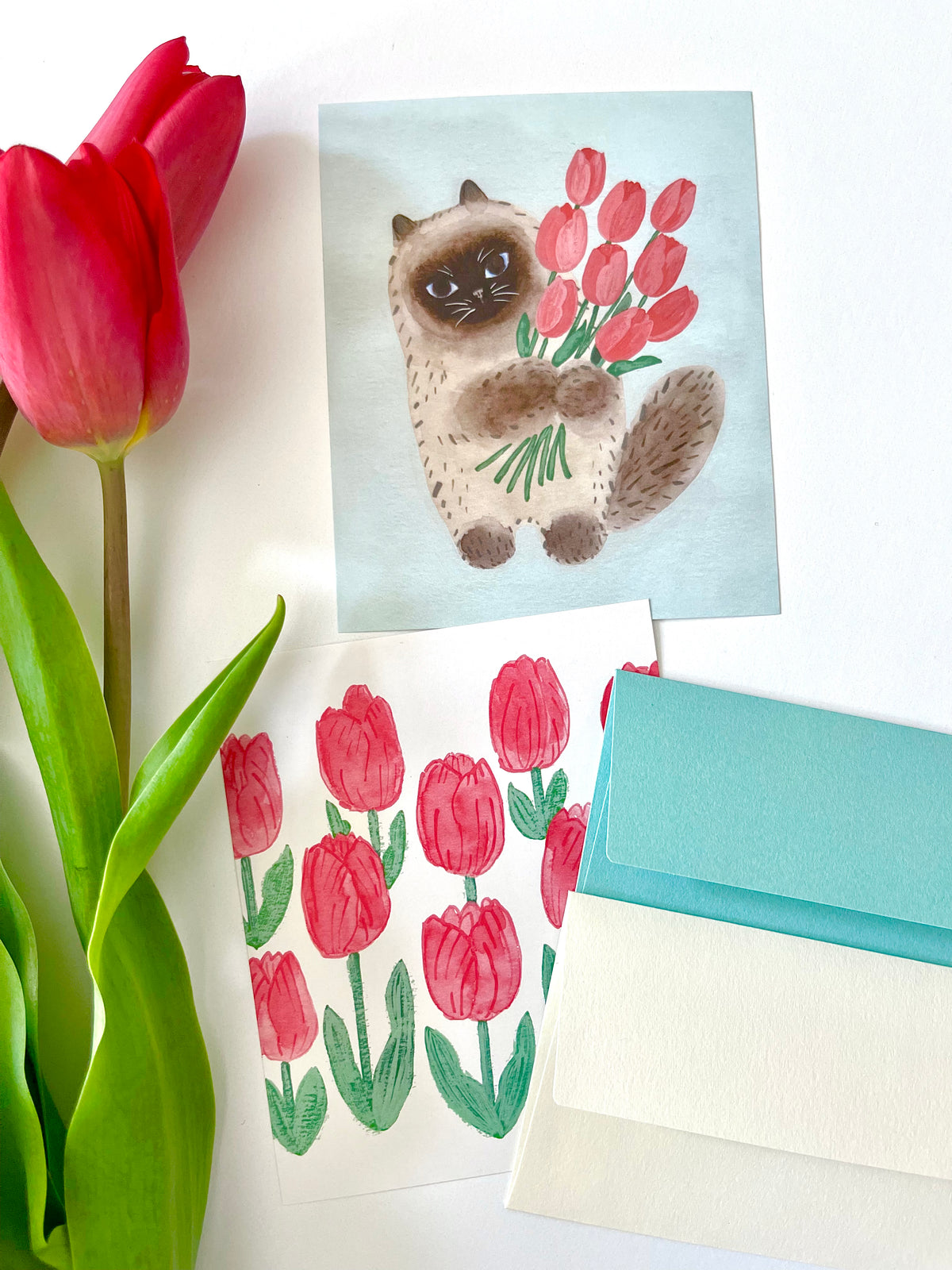 Cat and Tulip
