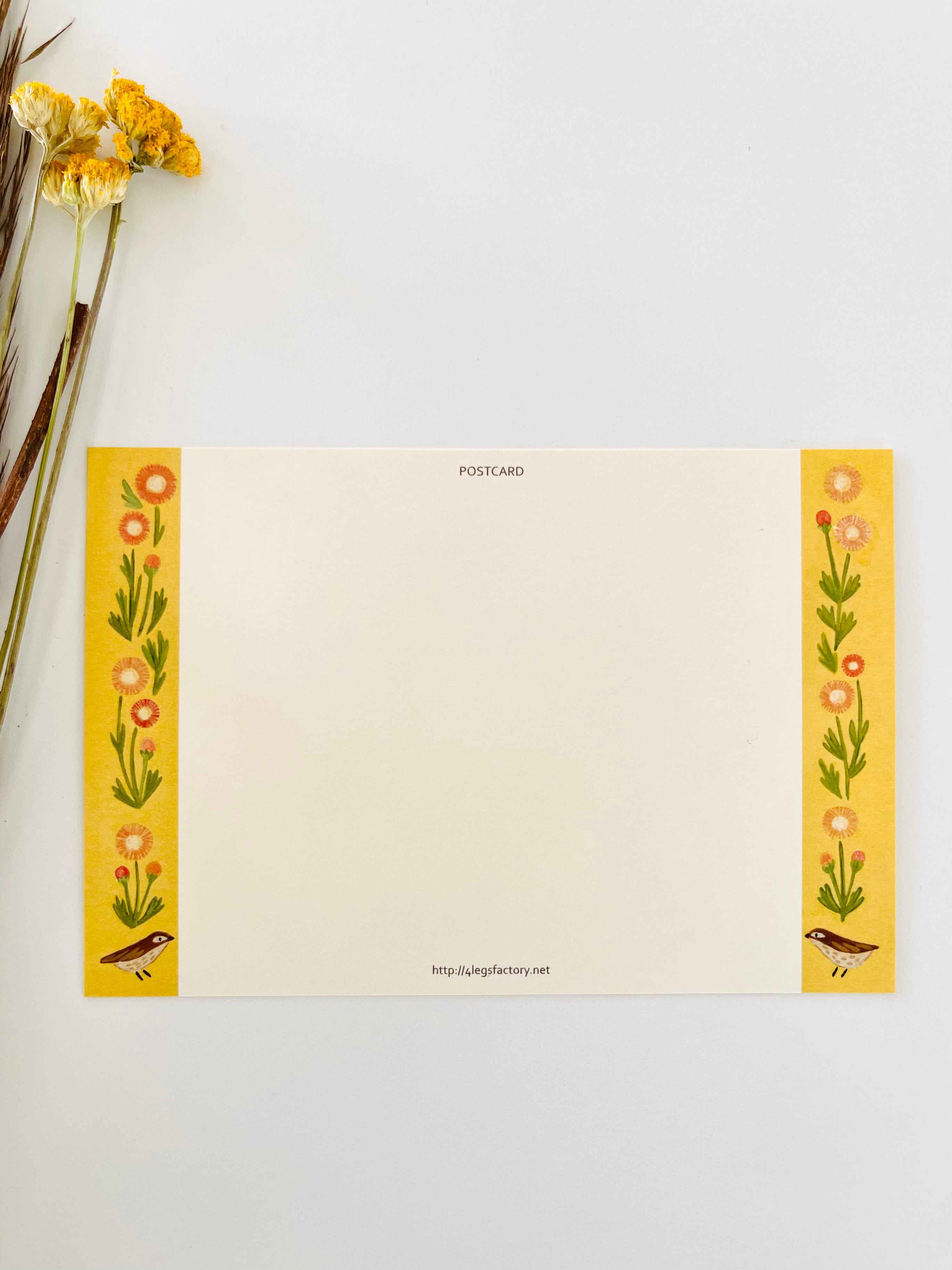 [4legs] Tabby & Gerbera Daisy postcard