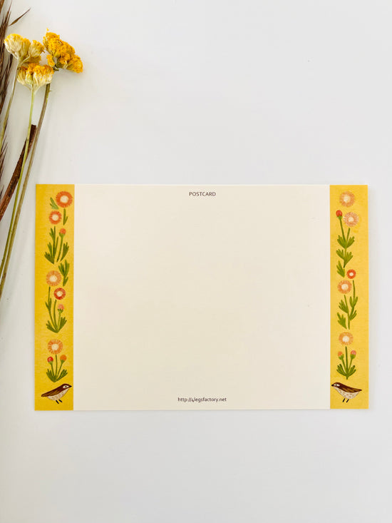 [4legs] Tabby & Gerbera Daisy postcard