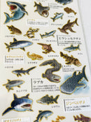 [Kamio] Shark Species sticker sheet