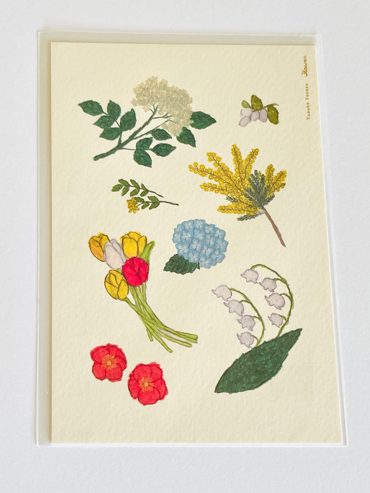 Yusuke Yonezu: Postcard Collection (remaining inventory • no restock due to overseas restrictions)