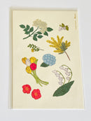 [Yusuke Yonezu] Postcard Collection (last stock)