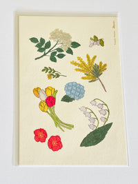 Yusuke Yonezu: Postcard Collection (remaining inventory • no restock due to overseas restrictions)