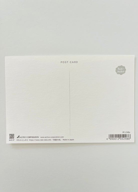 [Tabineko] Early Summer Light (2017) postcard x Toshinori Mori