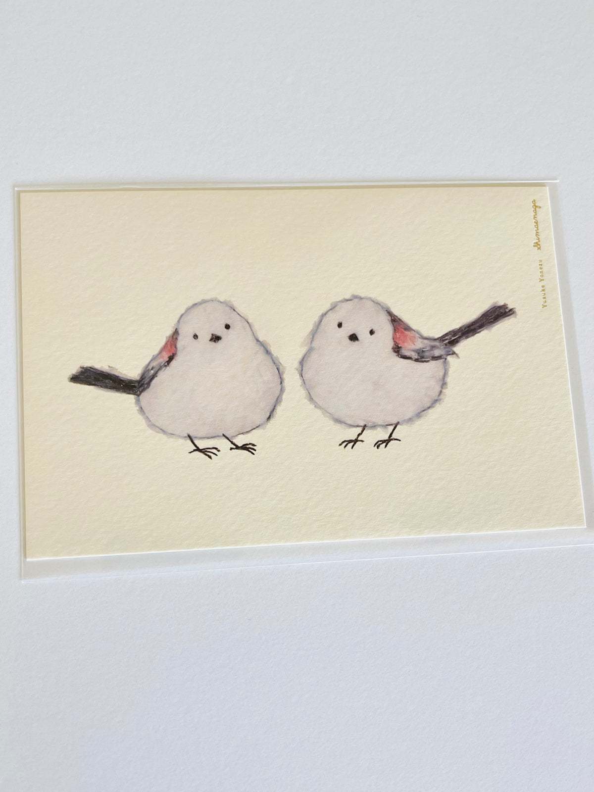 Yusuke Yonezu: Postcard Collection (remaining inventory • no restock due to overseas restrictions)