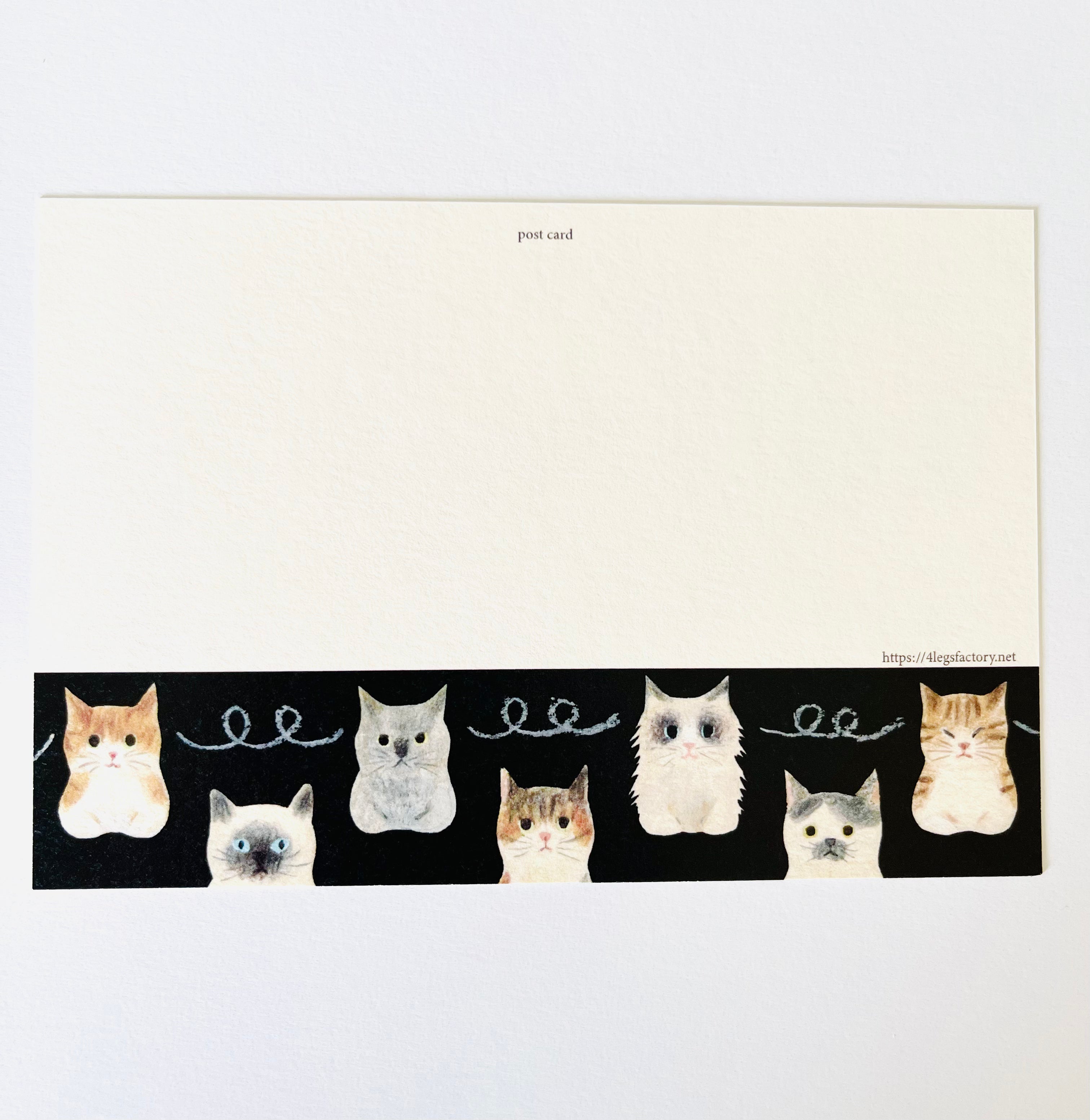 [4legs] Cat Connection postcard