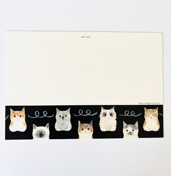 Cat Connection