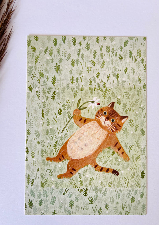 [4legs] Tabby Cat in the Field collection